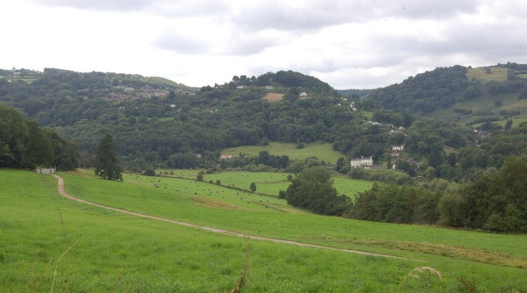 Foto “Welsh Bicknor” tomada por Roger Davies (CC BY-SA); recorte de la original