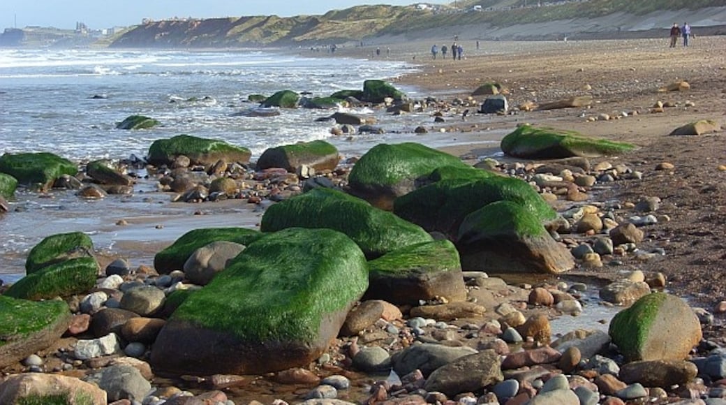 Photo "Sandsend" by Andrew Smith (CC BY-SA) / Cropped from original