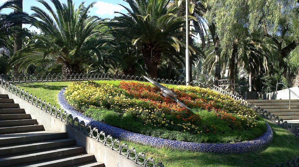 Kuva ”Garcia Sanabria -puisto” käyttäjältä rene boulay (CC BY-SA) / rajattu alkuperäisestä kuvasta
