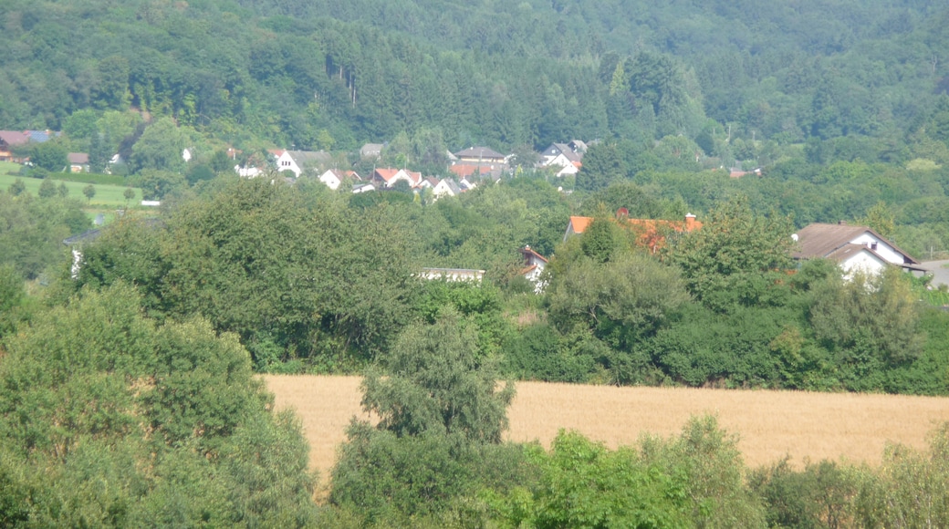 Photo "Brücken" by giggel (CC BY) / Cropped from original