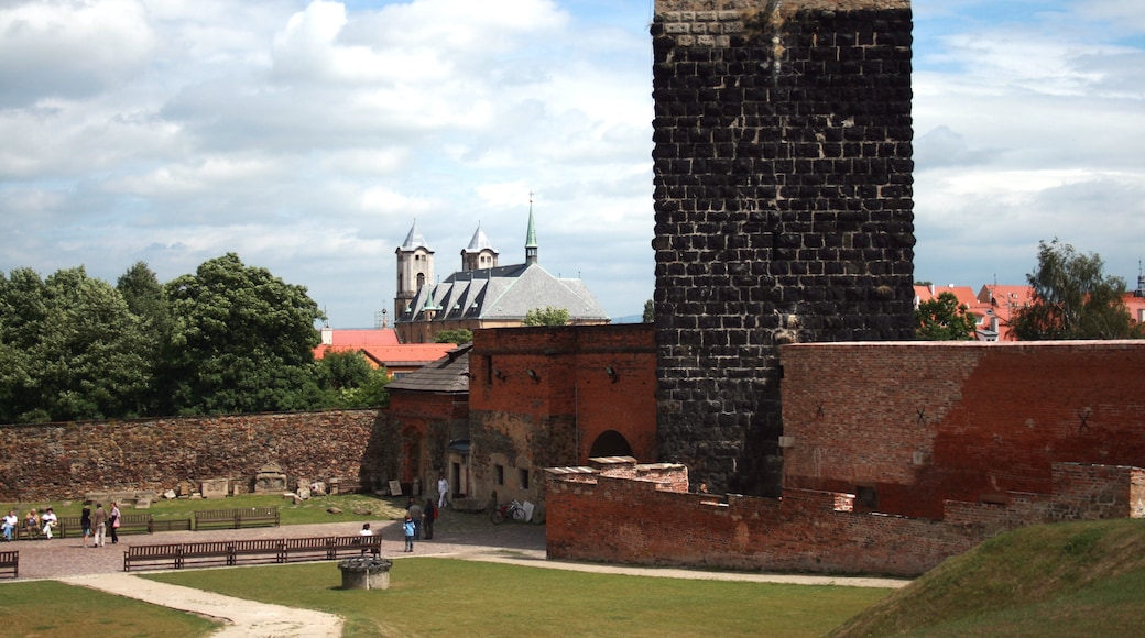 Inner space of Cheb castle with Black tower and st Nicolas church in behind, west of Czech Republic