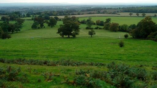 Photo "Felixkirk" by Matthew Hatton (CC BY-SA) / Cropped from original