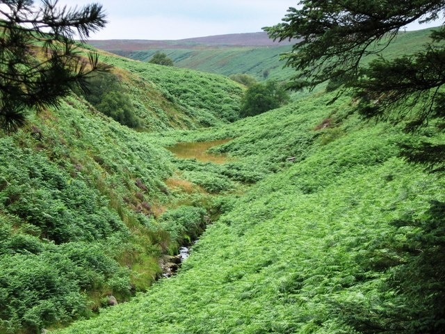 Photo "South Bedburn" by Graham Scarborough (CC BY-SA) / Cropped from original