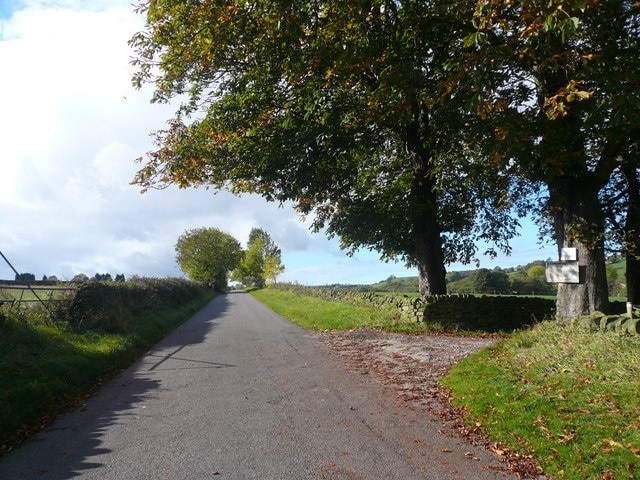 Loads Road View Entrance to Nether Loads Farm and Cobjo Cottage can be seen on the right.