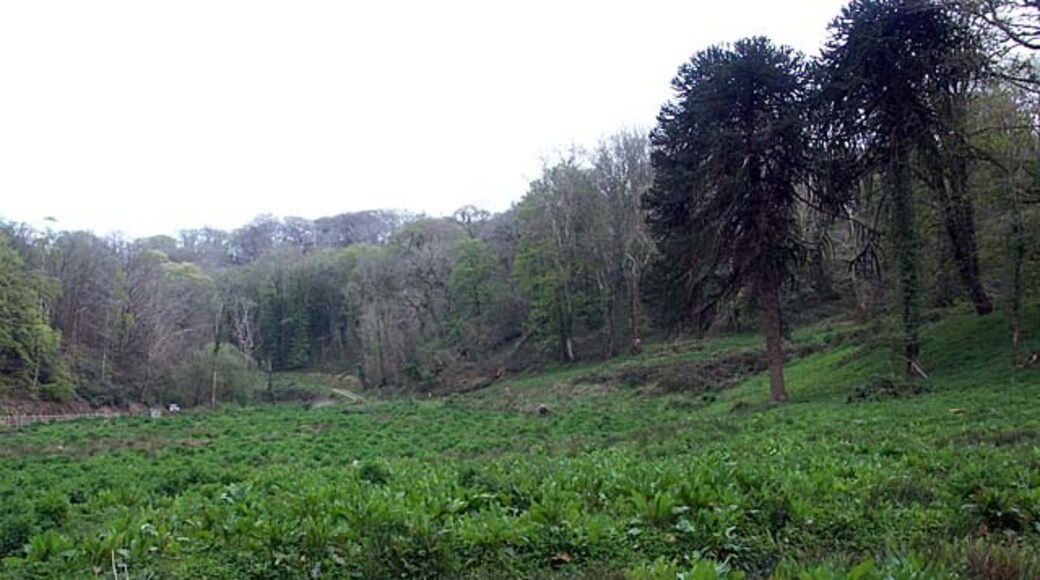 Kuva ”St. Michael Penkevil” käyttäjältä Fred James (CC BY-SA) / rajattu alkuperäisestä kuvasta