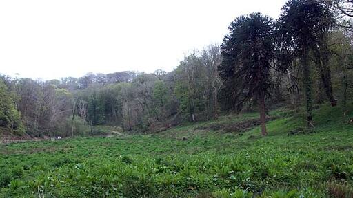 Photo "St. Michael Penkevil" by Fred James (CC BY-SA) / Cropped from original