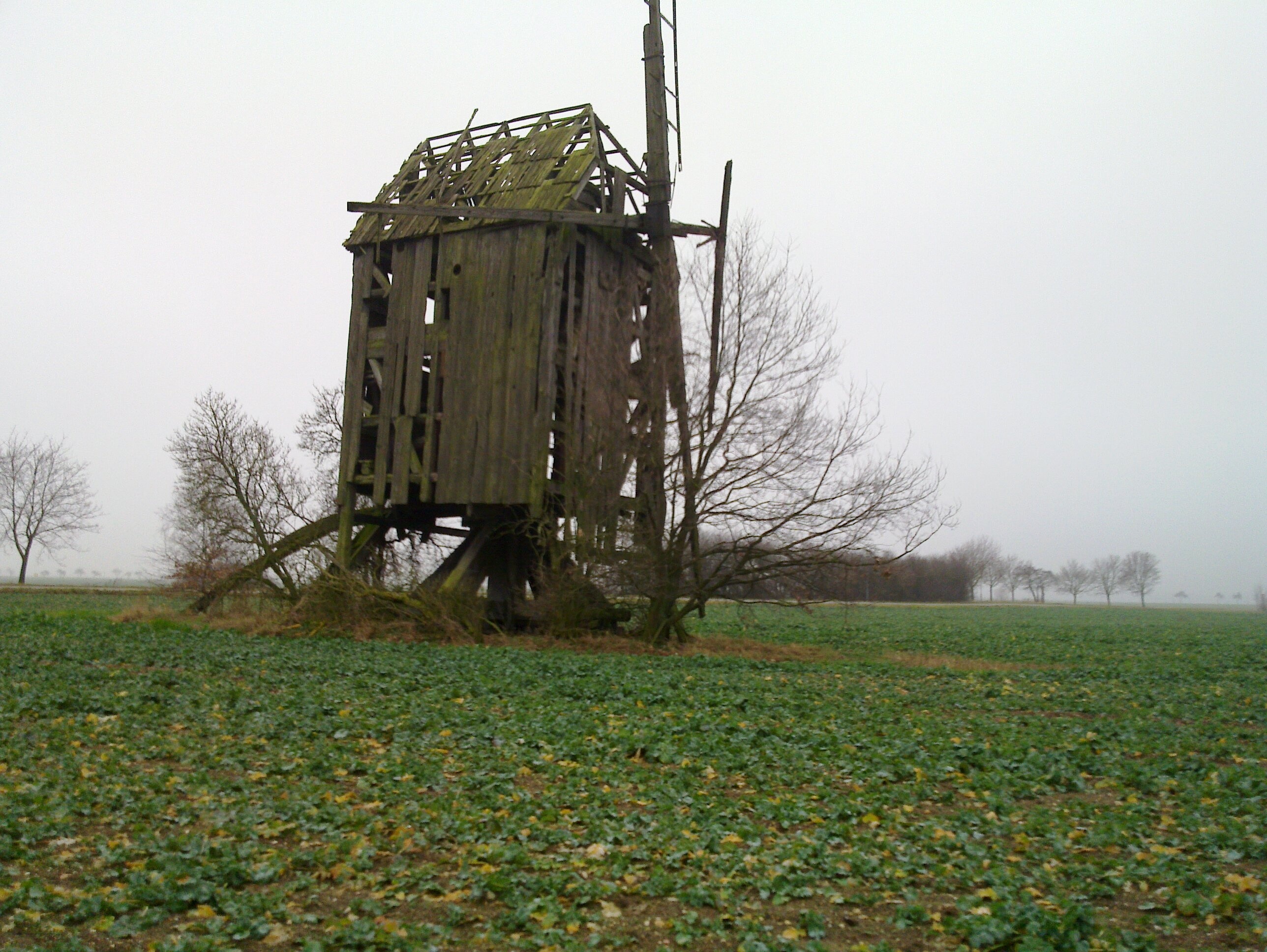 Photo "Mockrehna" by lutzto (CC BY-SA) / Cropped from original