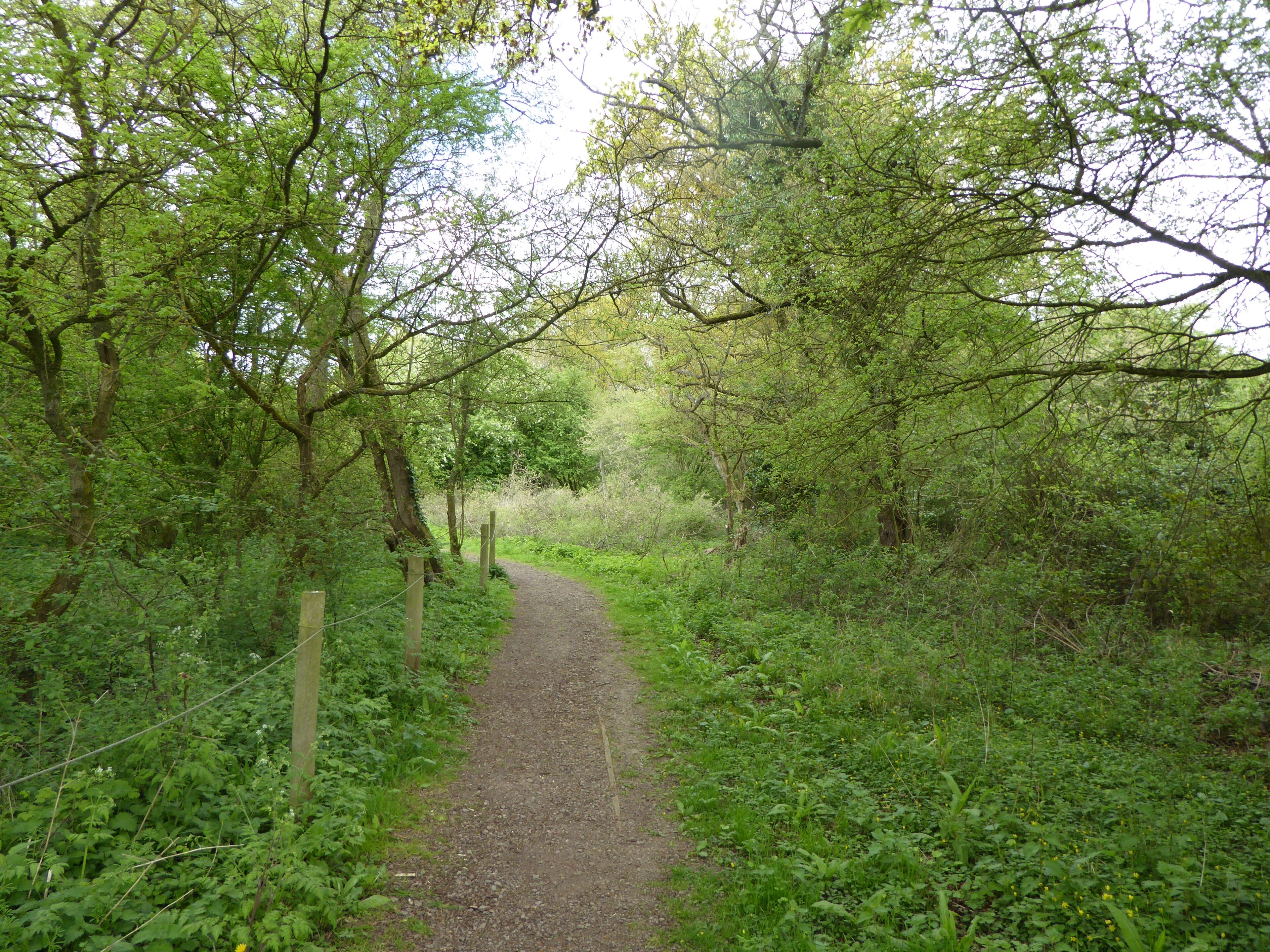 Foto “Glapthorn” tomada por Dudley Miles (CC BY-SA); recorte de la original