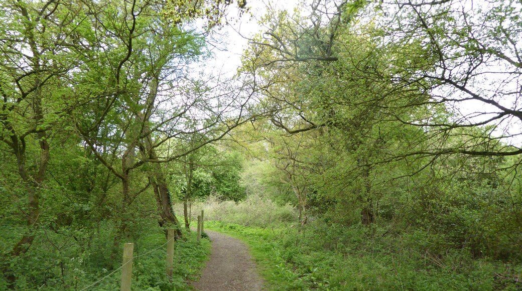 Foto “Glapthorn” tomada por Dudley Miles (CC BY-SA); recorte de la original