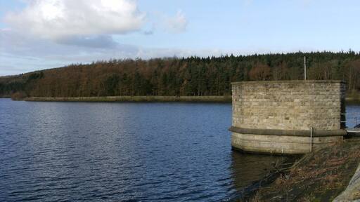 Photo "Little Timble" by SMJ (CC BY-SA) / Cropped from original