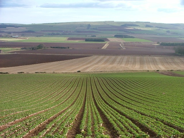 Field on the side of Black Hill Looking SE across the Mearns.