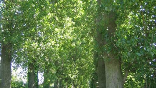 Ảnh "Làng Farlington" của Stephen Horncastle (CC BY-SA) / Cắt từ ảnh gốc