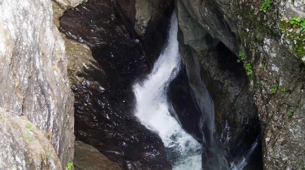 Foto „Skocjan-Höhlen“ von Paul Asman and Jill Lenoble (CC BY)/zugeschnittenes Original