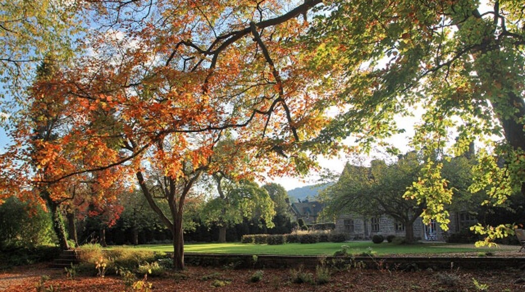 Foto "Rowsley" oleh Andy Stephenson (CC BY-SA) / Dipotong dari foto asli