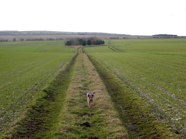 "Heslerton"-foto av Phil Catterall (CC BY-SA) / Urklipp från original