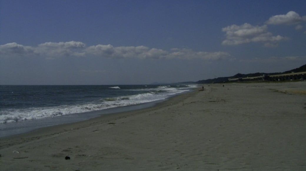 Foto "Pantai Arai" oleh hakamata.h (CC BY) / Dipotong dari foto asli