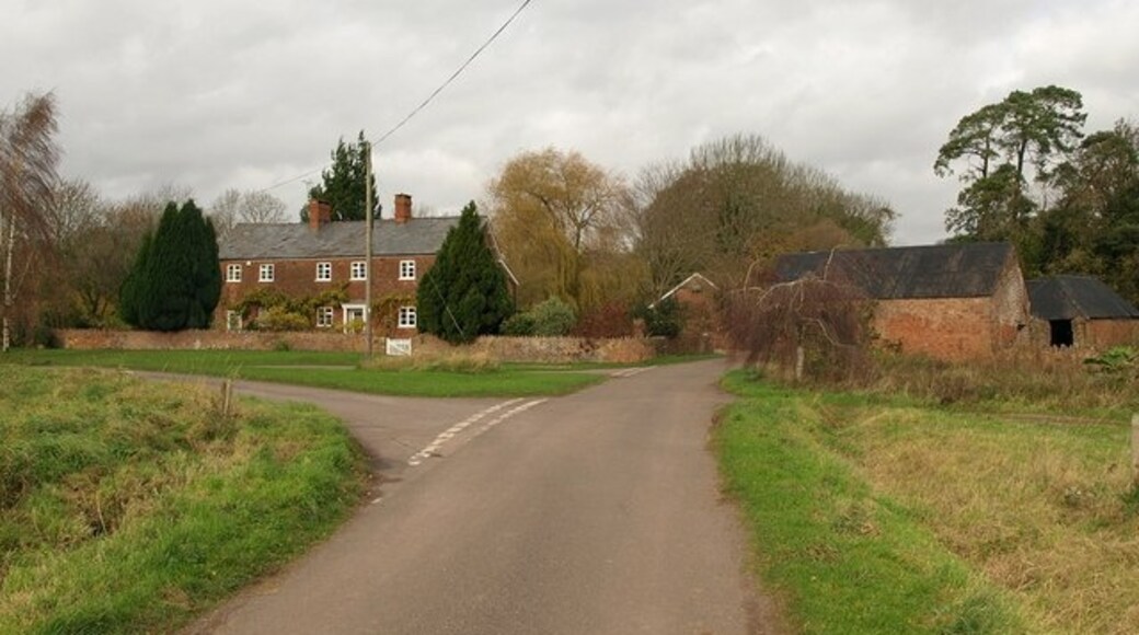 Foto "Ash Priors" de Derek Harper (CC BY-SA) / Recortada do original