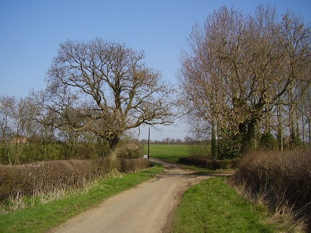 "Lutton"-foto av Ken Brockway (CC BY-SA) / Urklipp från original