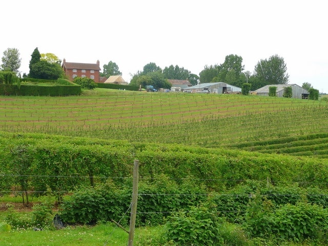 "Oxenhall"-foto av Jonathan Billinger (CC BY-SA) / Urklipp från original