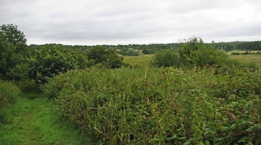 Foto “Abberton” tomada por Glyn Baker (CC BY-SA); recorte de la original