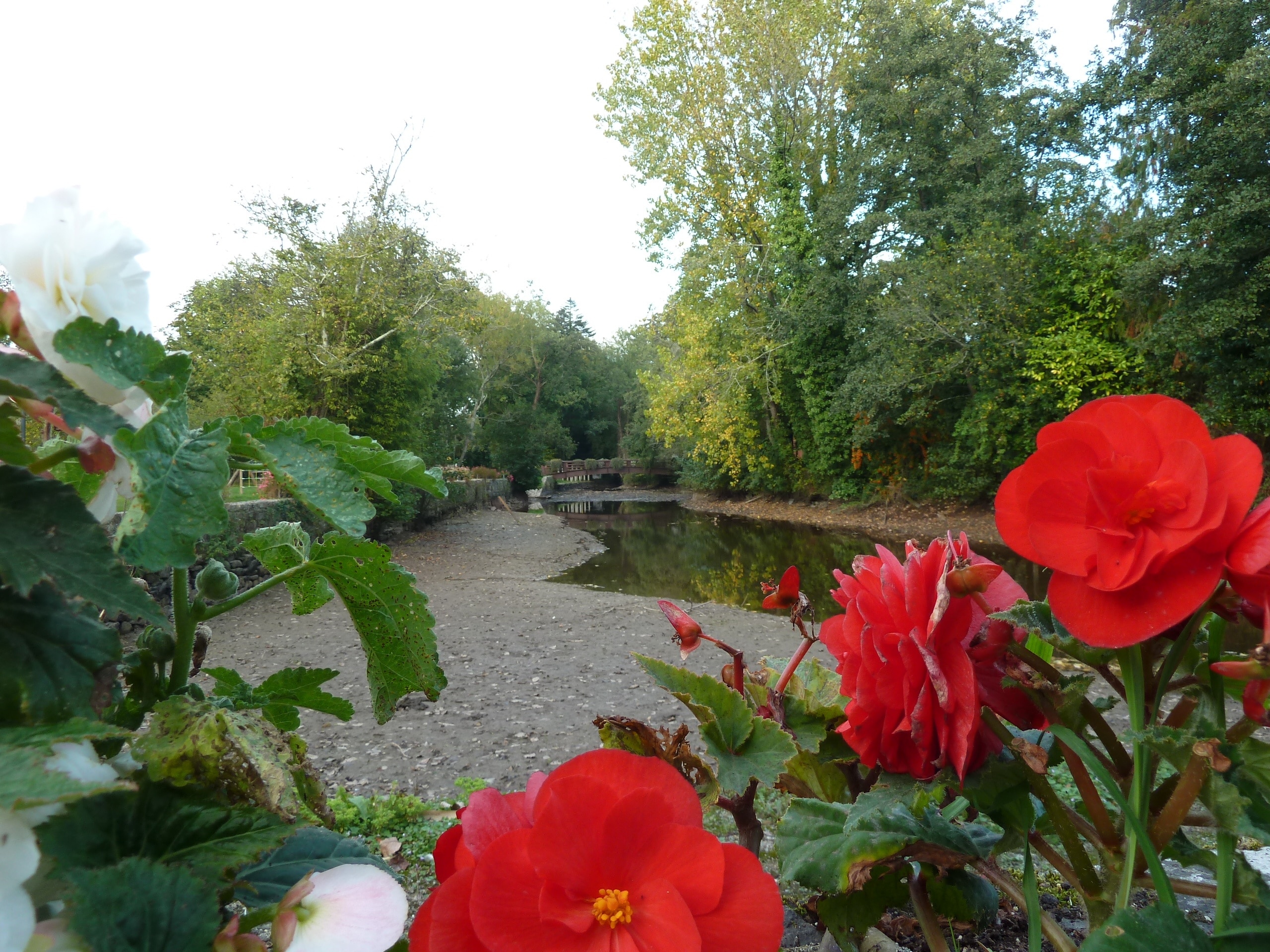 Photo "Daoulas" by Gaëlle Fily (CC BY) / Cropped from original