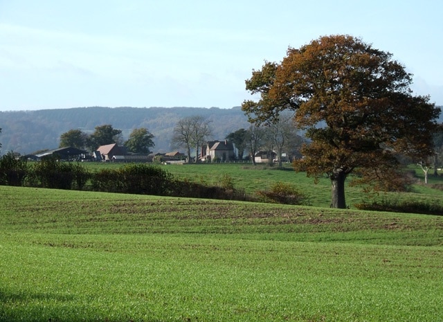 Kuva ”Aston Botterell” käyttäjältä Roger Kidd (CC BY-SA) / rajattu alkuperäisestä kuvasta