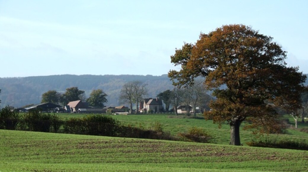 Kuva ”Aston Botterell” käyttäjältä Roger Kidd (CC BY-SA) / rajattu alkuperäisestä kuvasta