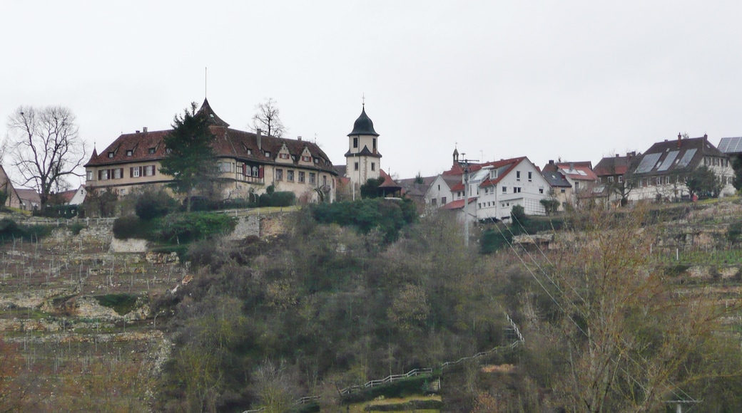 Foto „Pleidelsheim“ von qwesy qwesy (CC BY)/zugeschnittenes Original