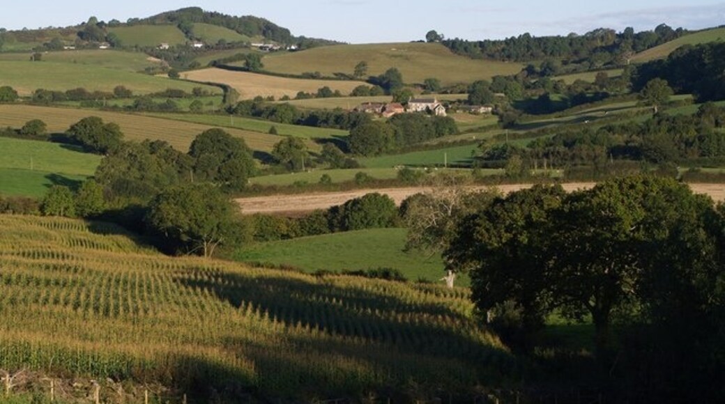 Foto "Bettiscombe" de Derek Harper (CC BY-SA) / Recortada do original