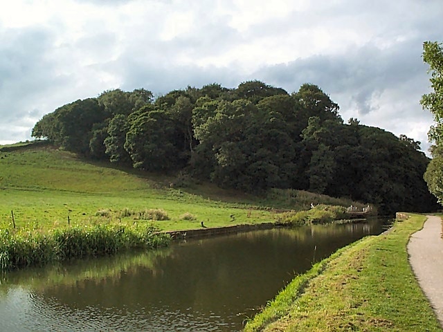 Lodge Wood near Calverley. The wood is on the southern side of the Leeds & Liverpool Canal. Also showing the disused (it don't mean a thing if it ain't got that swing) Lodge Bridge. Seen from SE2138937379.