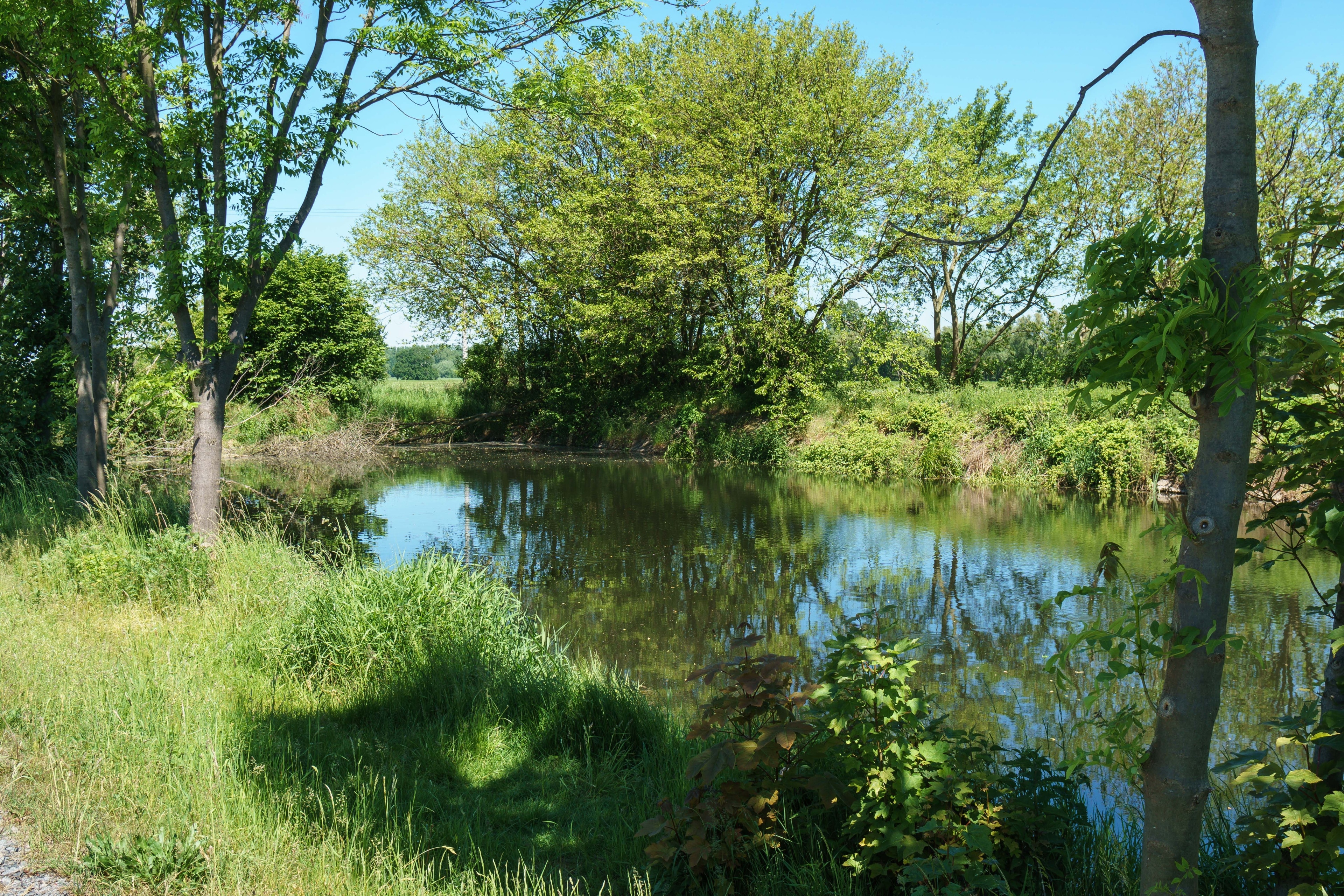 Photo "Bennewitz" by Radler59 (CC BY-SA) / Cropped from original