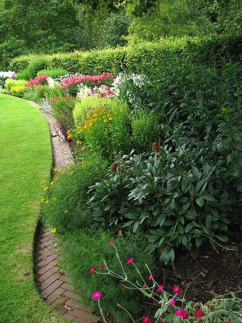 West Lodge - open garden Herbaceous border. The grounds are not open to the public but on the occasion of an Open Garden charity event the public is given the opportunity to view the 9 acre gardens that surround this stately home. A survey published by the Norfolk Gardens Trust in 1997 lists a number of sites of particular historic importance, one of these being West Lodge. The Georgian House with 17th century origins is surrounded by a nine acre garden with lawns, mature trees, a rose garden, herbaceous borders, an ornamental pond and a 19th century walled kitchen garden which is still being maintained as such. Part of the property is located in the adjacent grid square to the east > https://www.geograph.org.uk/photo/882376 - https://www.geograph.org.uk/photo/882378 - https://www.geograph.org.uk/photo/882380 - https://www.geograph.org.uk/photo/882386 - https://www.geograph.org.uk/photo/882387 - https://www.geograph.org.uk/photo/882396 .