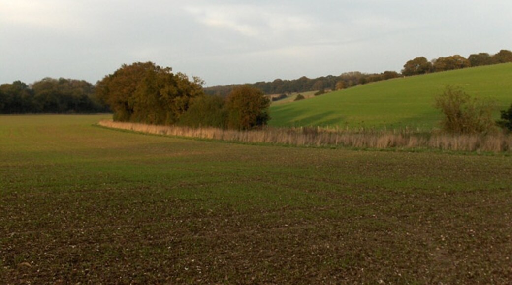 Photo "Ludgershall" by Andrew Smith (CC BY-SA) / Cropped from original