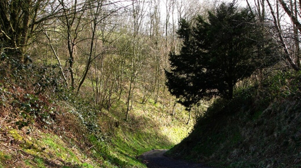 Foto “Langrish” tomada por Chris Gunns (CC BY-SA); recorte de la original