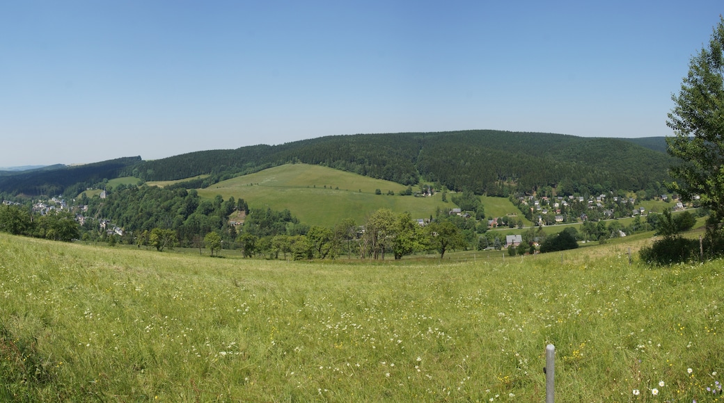 "Rechenberg-Bienenmühle"-foto av Kolossos (CC BY-SA) / Urklipp från original
