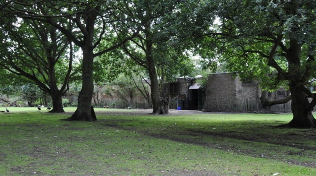 "North Weald Bassett"-foto av Lynda Poulter (CC BY-SA) / Urklipp från original