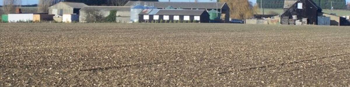 Photo "Newhall Farm, Allhallows Seen from New Hall Farm Lane. Water Tower on Ratcliffe Highway (TQ8277) seen in background, in middle of photo." by David Anstiss (Creative Commons Attribution-Share Alike 2.0) / Cropped from original