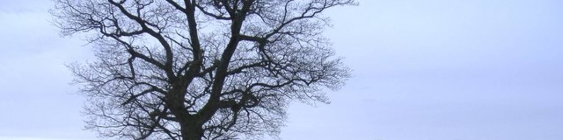 Tunley, Bath, England, United Kingdom