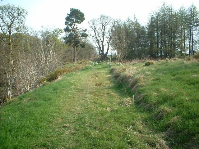 The Glen woodland path.