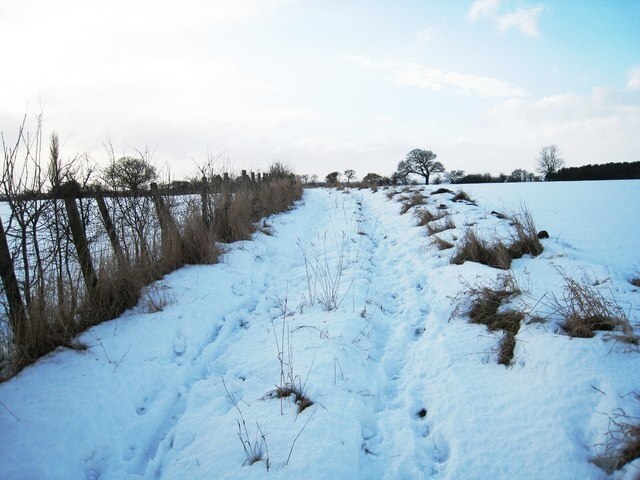 Foto "Neasham" de Philip Barker (CC BY-SA) / Recortada do original