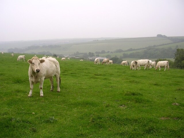 Foto "West Compton" por Jim Champion (CC BY-SA) / Recortada de la original