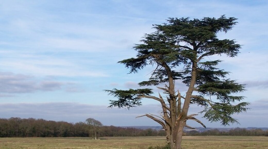 Ảnh "Awbridge" của David Martin (CC BY-SA) / Cắt từ ảnh gốc