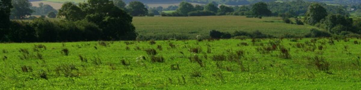 Photo "South from Chapmanslade to Cley Hill Ignore the rough pasture and enjoy another view to Cley Hill. ST8344" by Maurice Pullin (Creative Commons Attribution-Share Alike 2.0) / Cropped from original