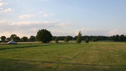 Foto "Galleywood" de Andrew Pickess (CC BY-SA) / Recortada do original