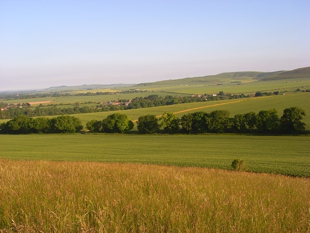 Photo "Woodborough" by Andrew Smith (CC BY-SA) / Cropped from original