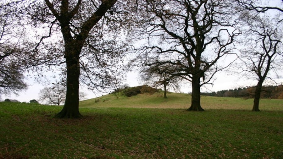Photo "Saxon Lowe This is a view of Saxon Lowe on Tittensor Chase, from a public footpath. Unfortunately this is on private land so a closer, circumnavigation of the hill is unable to be made... yet." by Stephen Pearce (Creative Commons Attribution-Share Alike 2.0) / Cropped from original