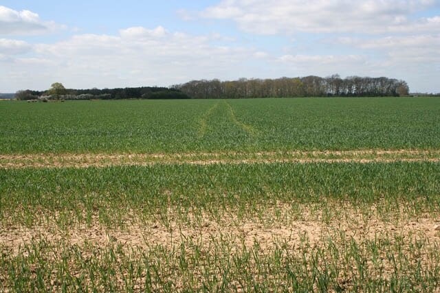 Foto „Bitchfield und Bassingthorpe“ von Kate Jewell (CC BY-SA)/zugeschnittenes Original