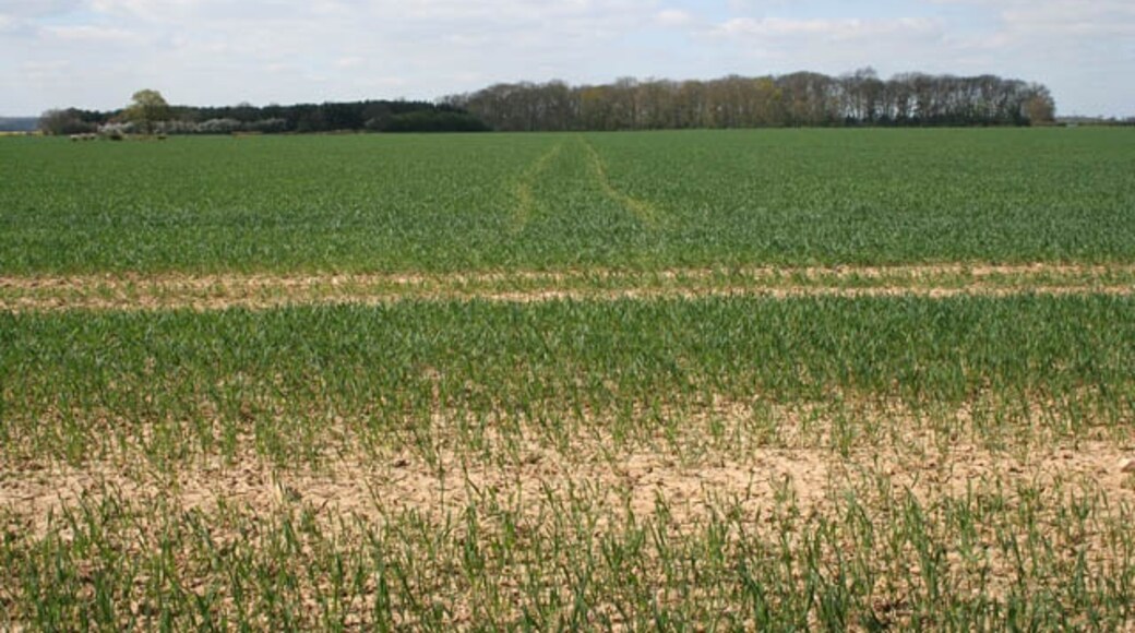 Foto „Bitchfield und Bassingthorpe“ von Kate Jewell (CC BY-SA)/zugeschnittenes Original