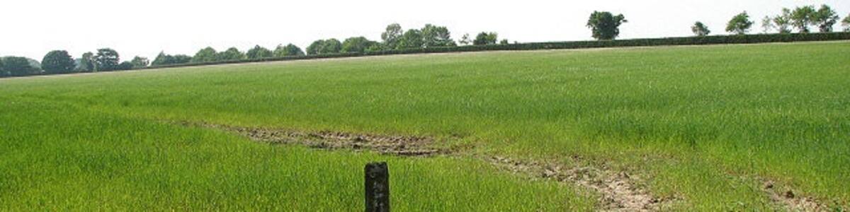 Photo "View across cereal field beside the A149" by Evelyn Simak (Creative Commons Attribution-Share Alike 2.0) / Cropped from original