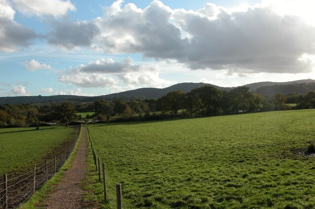 Looking across farmland towards the South Downs. There are a couple of fishing lakes in the trees, beyond is the line of the disused Petersfield to Midhurst branch line, and in the distance the hills of the South Downs.